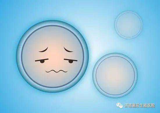 香港验血的报告单是怎样的,备孕补叶酸，为啥要提前三个月？